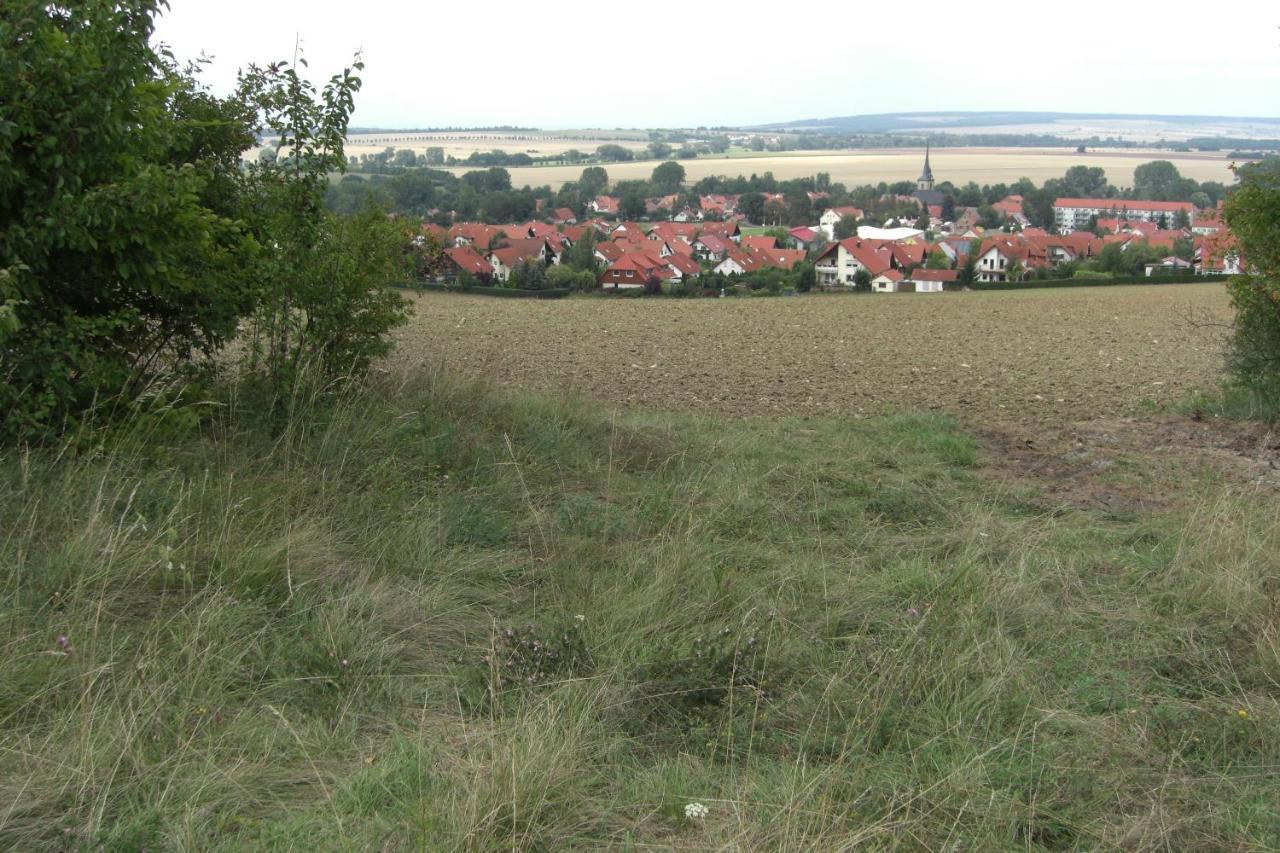 Appartement Am Goldberg Goldbach  Eksteriør bilde