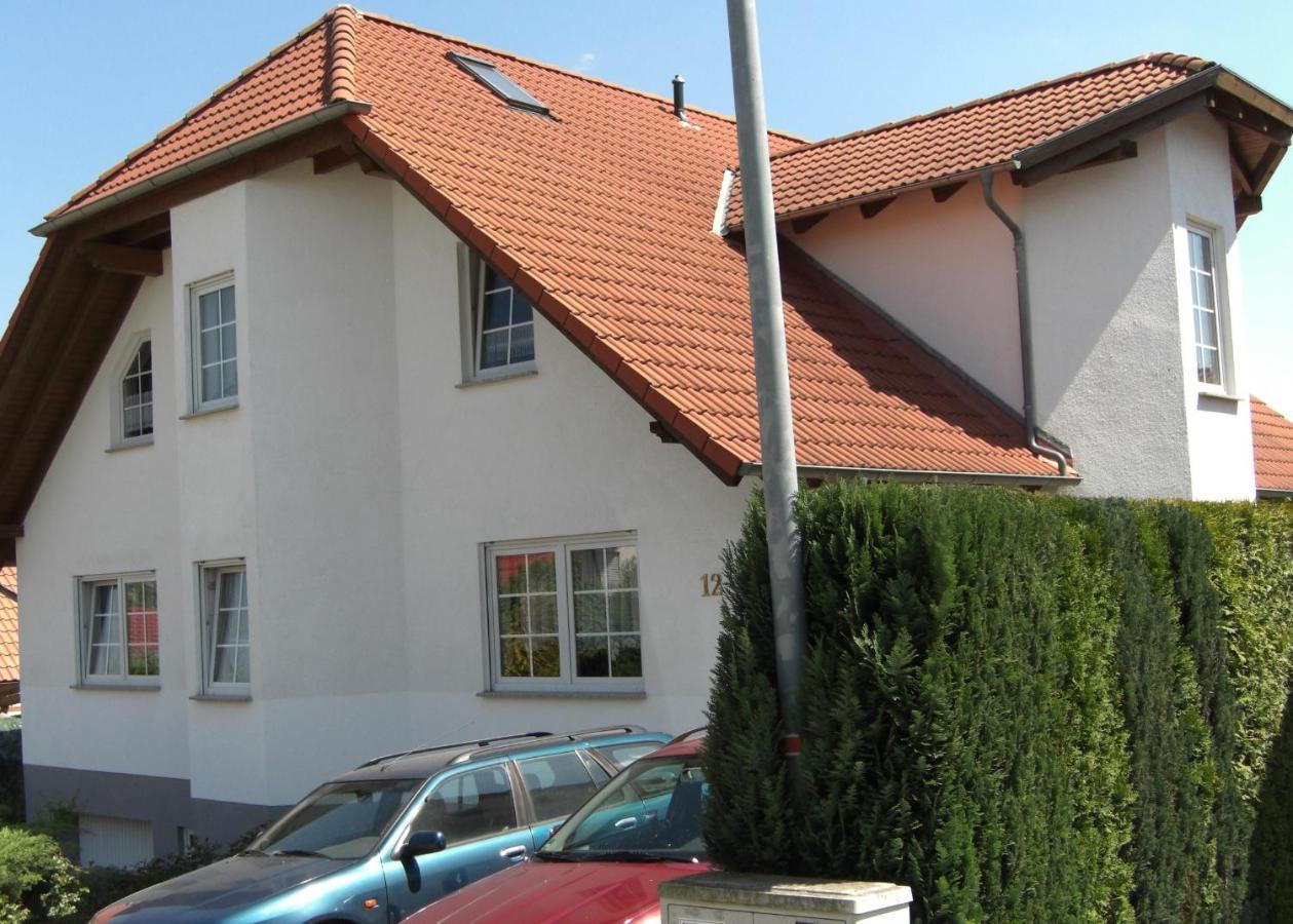 Appartement Am Goldberg Goldbach  Eksteriør bilde