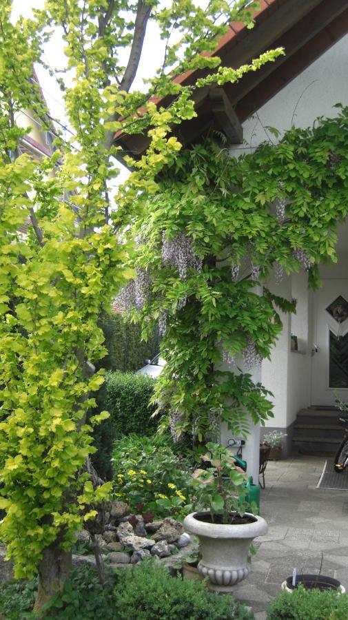 Appartement Am Goldberg Goldbach  Eksteriør bilde